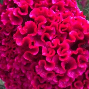 Meet your Posher, Logan